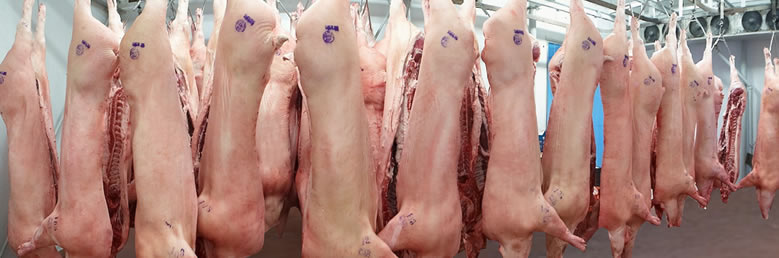 FROZEN PORK