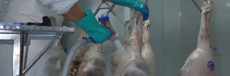 FROZEN PORK